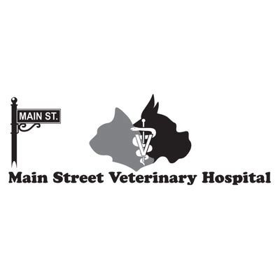 main street veterinary hospital reisterstown.